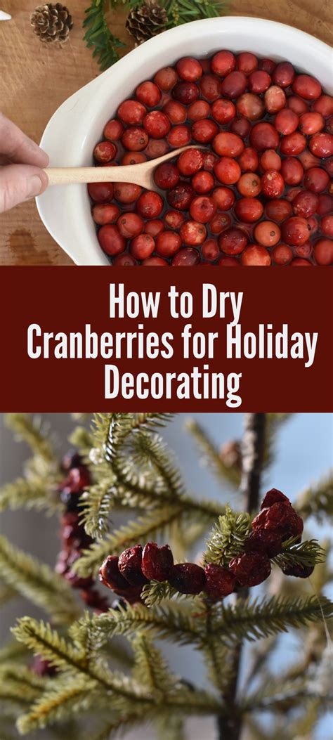Home Decor: How to Dry Cranberries for Decoration Guide
