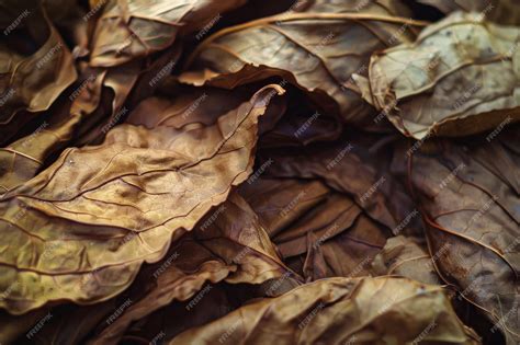Rustic Dried Tobacco Leaves for Decoration: Home Decor