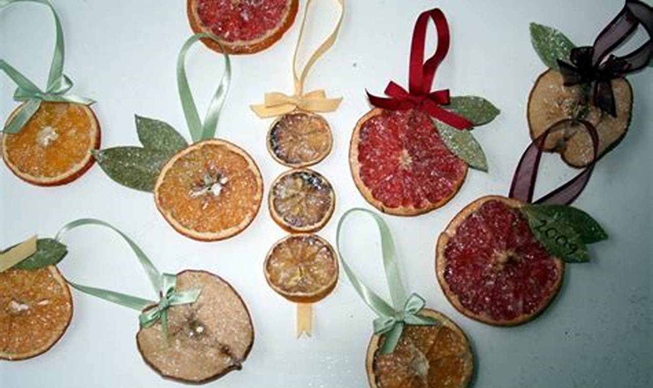 DIY Dried Fruit Xmas Tree Decorations Ideas