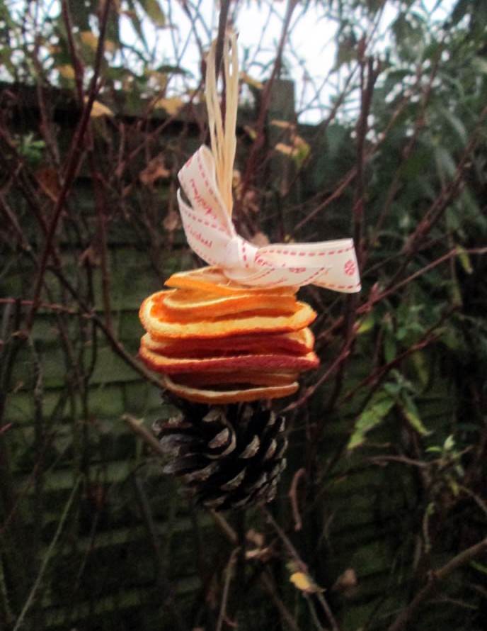 How to Make Dried Fruit Decorations