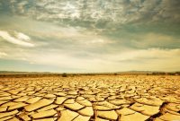 Free photo Dry land Abandoned, Earth, Textured Free Download Jooinn